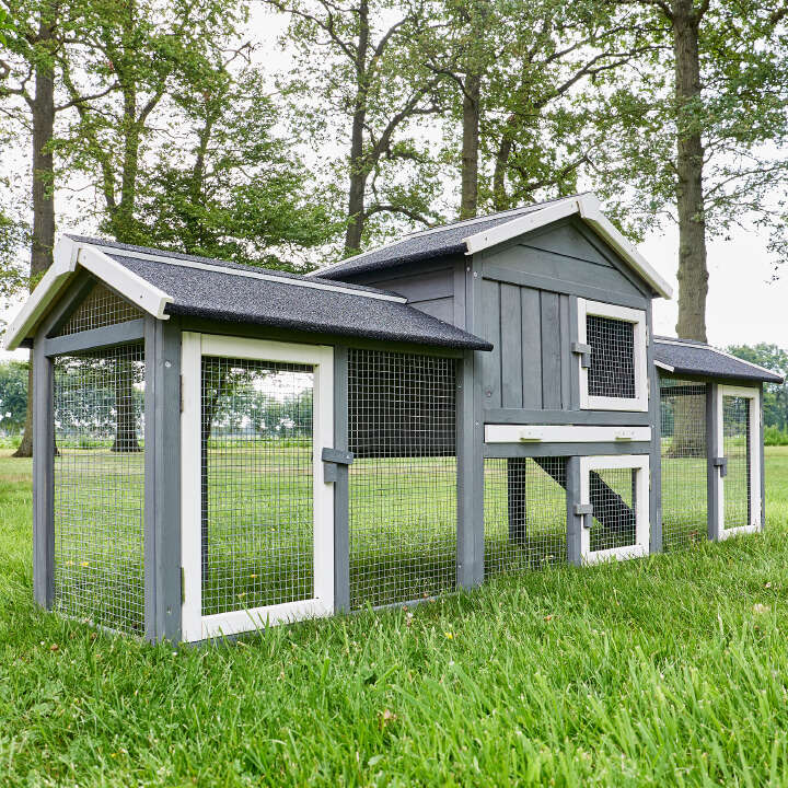 zooprinz Hasenstall Don Camilo